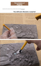 Colorful Gem & Dinosaur Fossil Archaeological Dig Blind Box - Kids DIY Educational Toy