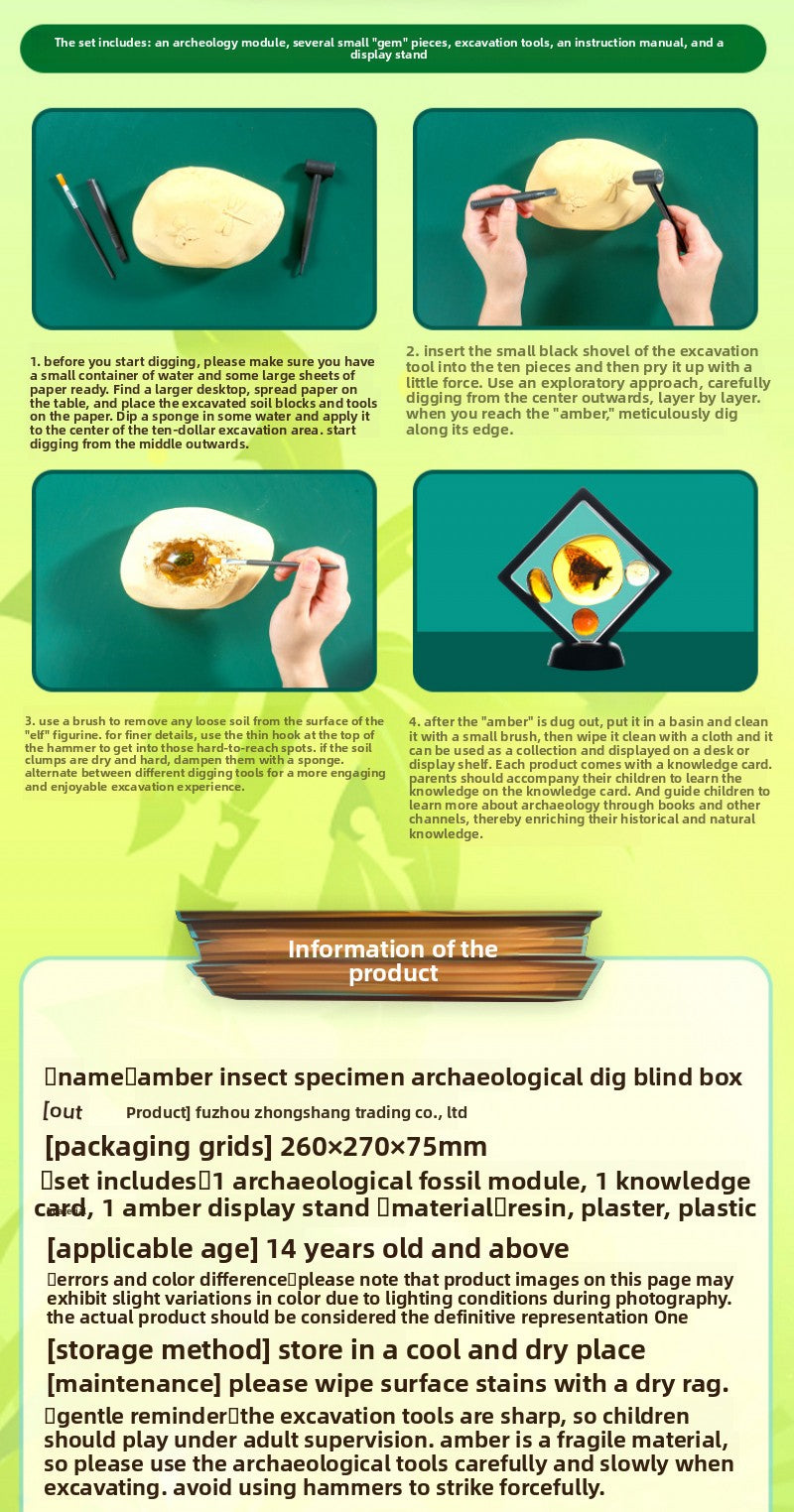 Amber Insect Sprite Archaeological Dig Blind Box - Kids Gem Exploration DIY Treasure Hunt Toy