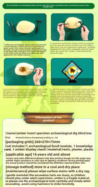 Amber Insect Sprite Archaeological Dig Blind Box - Kids Gem Exploration DIY Treasure Hunt Toy