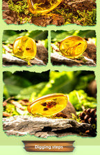 Amber Insect Sprite Archaeological Dig Blind Box - Kids Gem Exploration DIY Treasure Hunt Toy