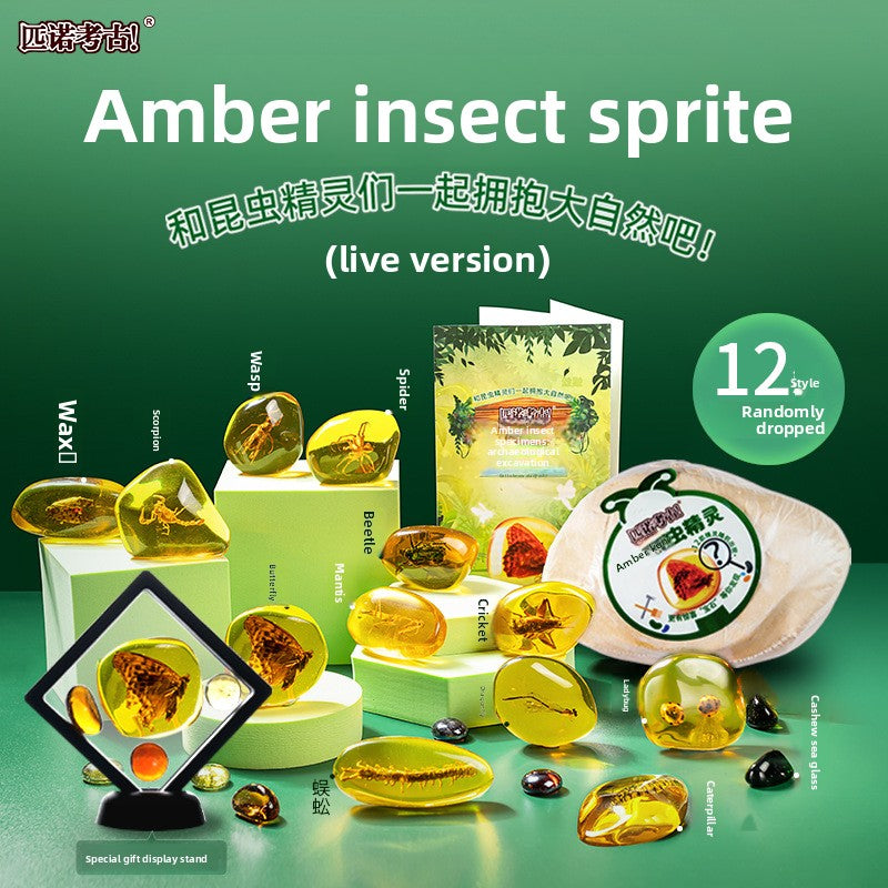 Amber Insect Sprite Archaeological Dig Blind Box - Kids Gem Exploration DIY Treasure Hunt Toy