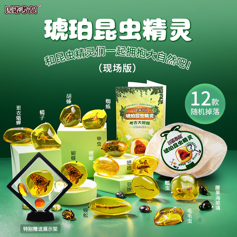 Amber Insect Sprite Archaeological Dig Blind Box - Kids Gem Exploration DIY Treasure Hunt Toy