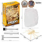 New Mermaid Tail Archaeological Dig Blind Box - Kids DIY Mini Colorful Dinosaur Gem Treasure Hunt Toy