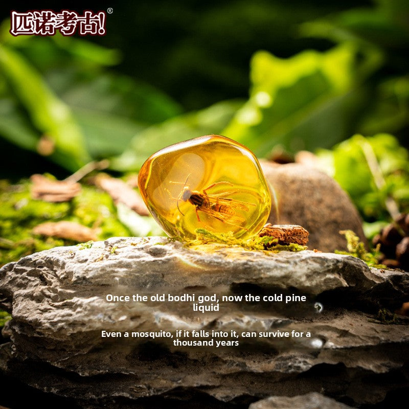 Amber Insect Sprite Archaeological Dig Blind Box - Kids Gem Exploration DIY Treasure Hunt Toy