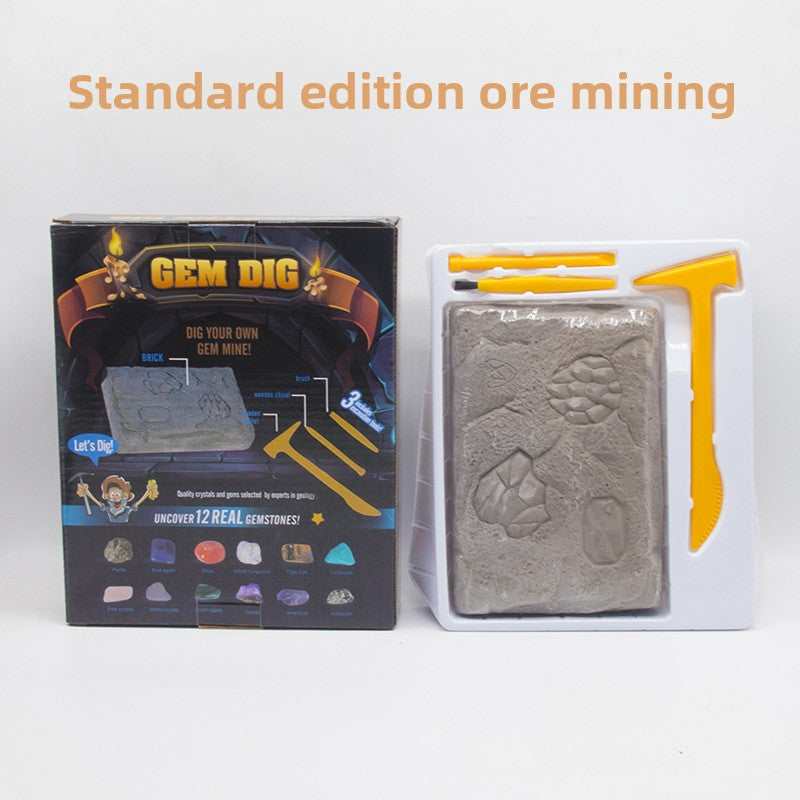 Colorful Gem & Dinosaur Fossil Archaeological Dig Blind Box - Kids DIY Educational Toy