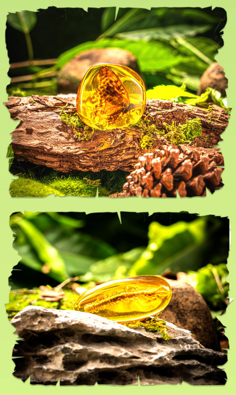 Amber Insect Sprite Archaeological Dig Blind Box - Kids Gem Exploration DIY Treasure Hunt Toy