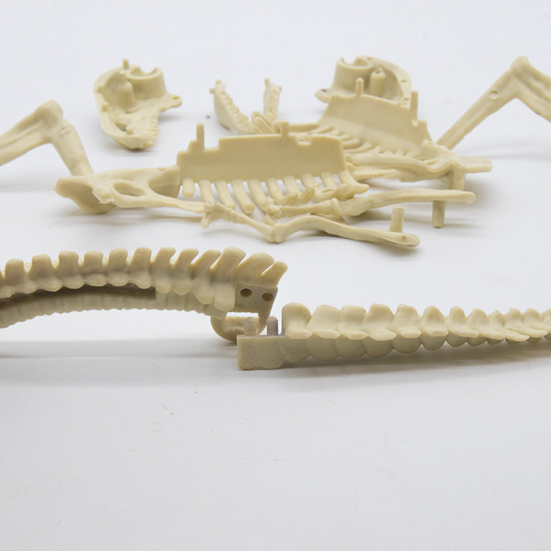 T-Rex Dinosaur Fossil Skeleton Dig Blind Box - Kids DIY Gem Treasure Hunting Archaeological Toy