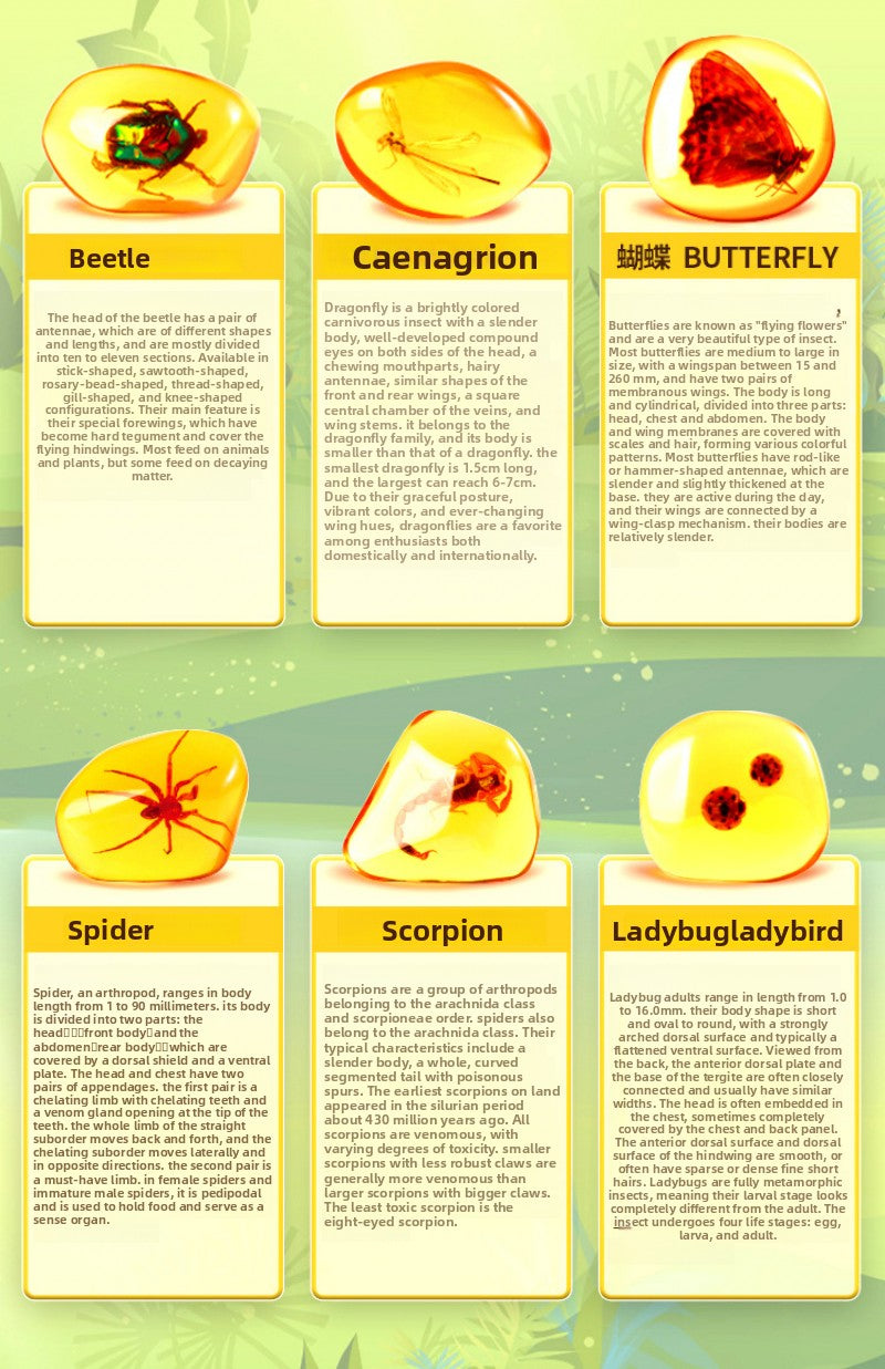 Amber Insect Sprite Archaeological Dig Blind Box - Kids Gem Exploration DIY Treasure Hunt Toy