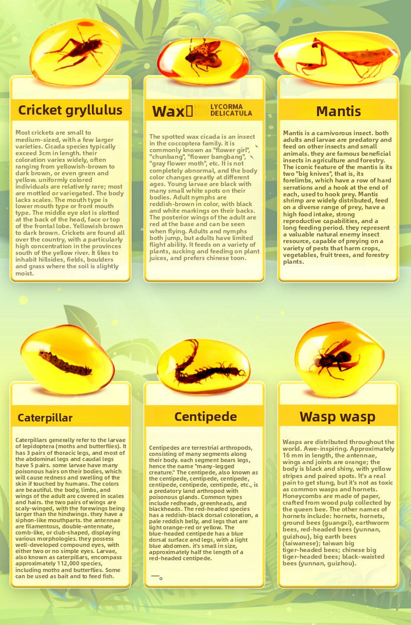 Amber Insect Sprite Archaeological Dig Blind Box - Kids Gem Exploration DIY Treasure Hunt Toy