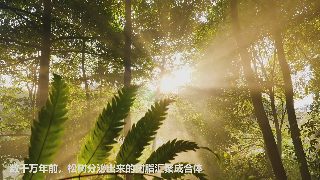 Amber Insect Sprite Archaeological Dig Blind Box - Kids Gem Exploration DIY Treasure Hunt Toy